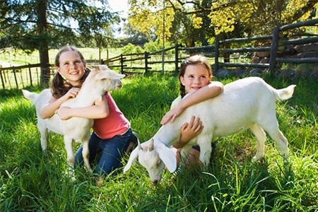Court Farm Country Park